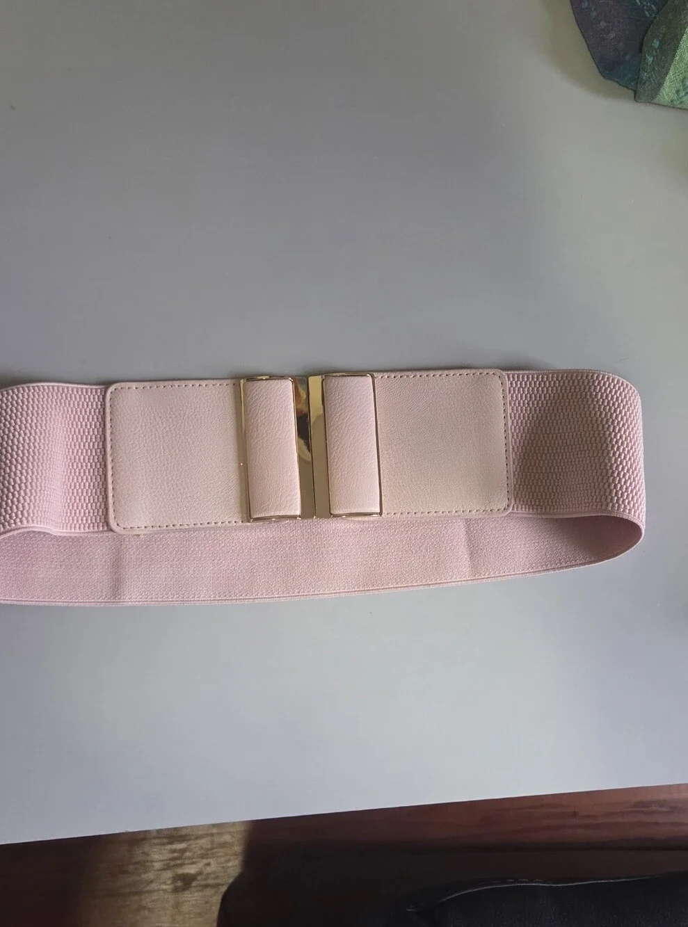 Blush Pink Elastic Waist Cinch Belt with Gold Buckle